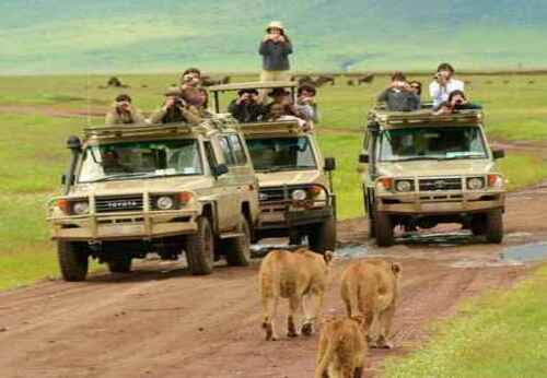 18 Days Kenya Safari Experience and Beach Vacation